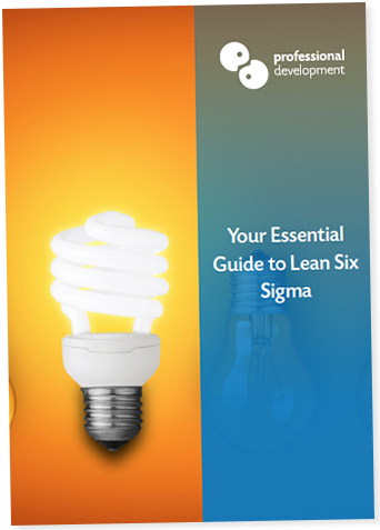 
		
		Lean Six Sigma Training
	
	 Guide