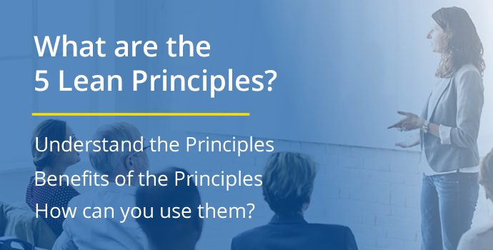 What are the 5 Lean Principles?
