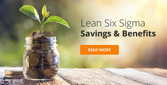 Lean Six Sigma Benefits & Savings