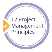12 Project Management Principles