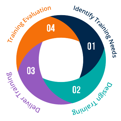 Diagram of the Training Cycle