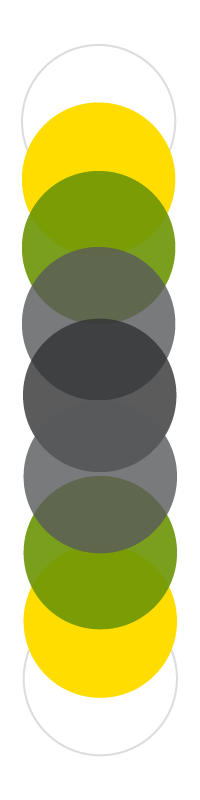 white, yellow, green, and black circles representing the different belt levels