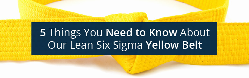 5 Things You Need to Know About Our Lean Six Sigma Yellow Belt