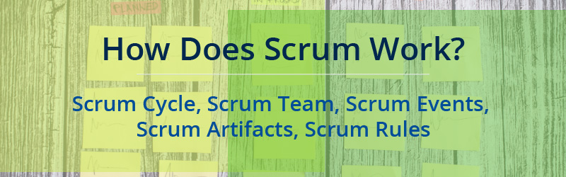 How does Scrum Work?