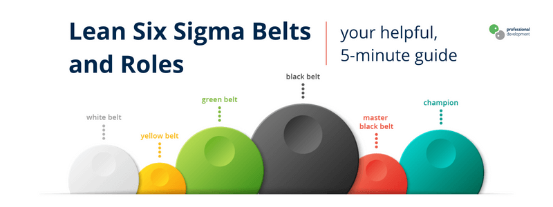 finansiel om Rute Lean Six Sigma Belts and Roles (Your Helpful, 5-Minute Guide)