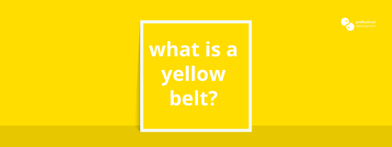 What is a Lean Six Sigma Yellow Belt?