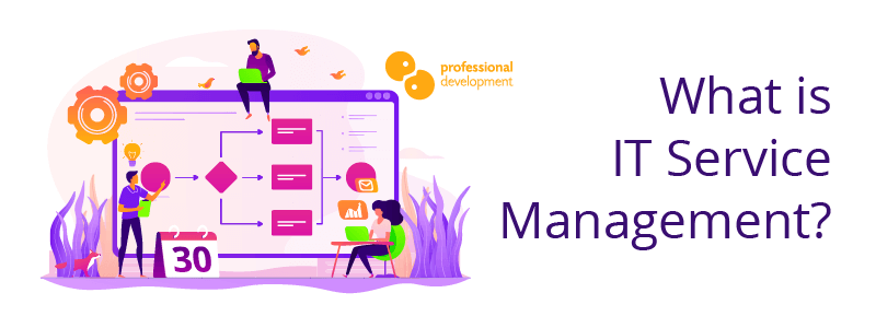What is IT Service Management?