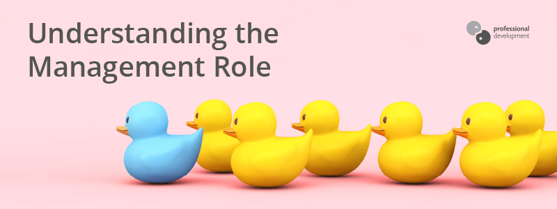 Understanding the Management Role