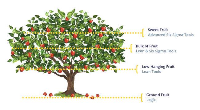 Lean Six Sigma Fruit Tree Diagram