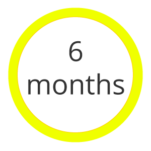 6 Months