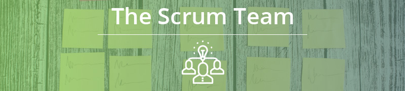 The Scrum Team