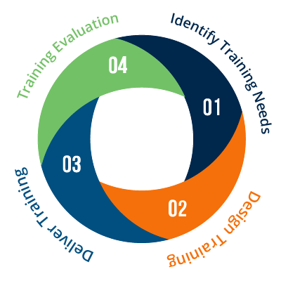 The Training Cycle