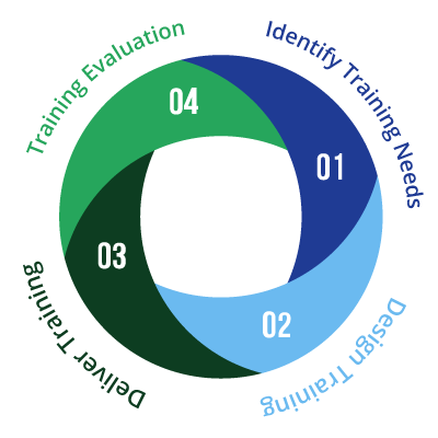 The Training Cycle