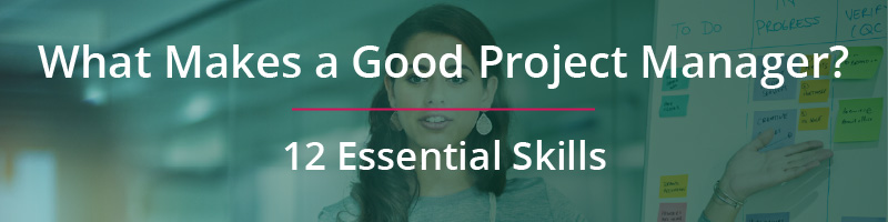 What makes a good project manager?