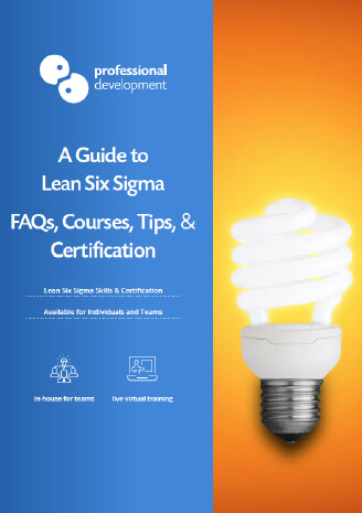 Get our PDF Guide to Lean Six Sigma