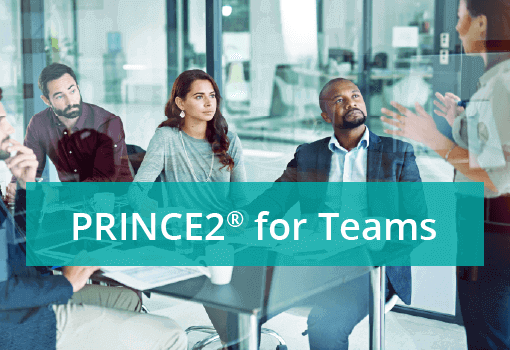 PRINCE2 project management for teams