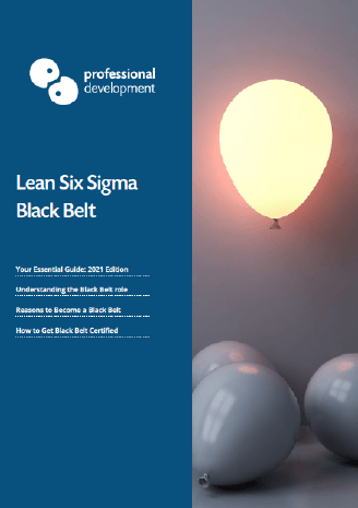 Get our Lean Six Sigma Black Belt Guide