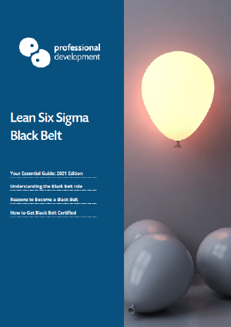 Get our Black Belt Guide