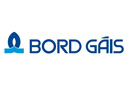 Bord Gais Logo