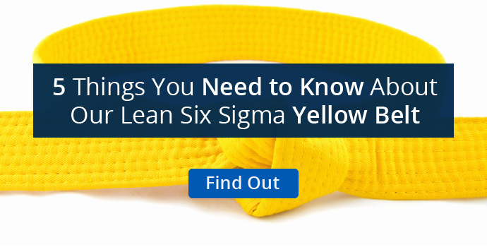 5 Facts About our Yellow Belt Course