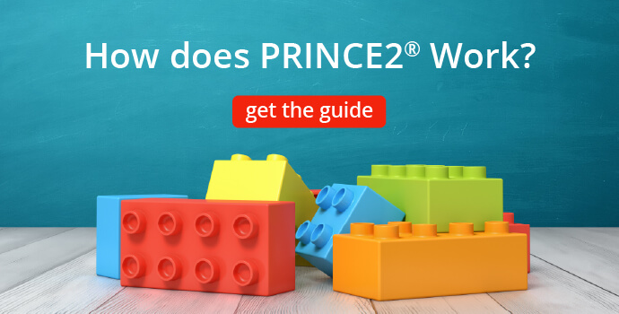 How Does PRINCE2® Work? (7 Principles, Themes, Processes)