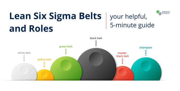 Lean Six Sigma Belts and Roles