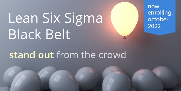 What is a Six Sigma Black Belt?