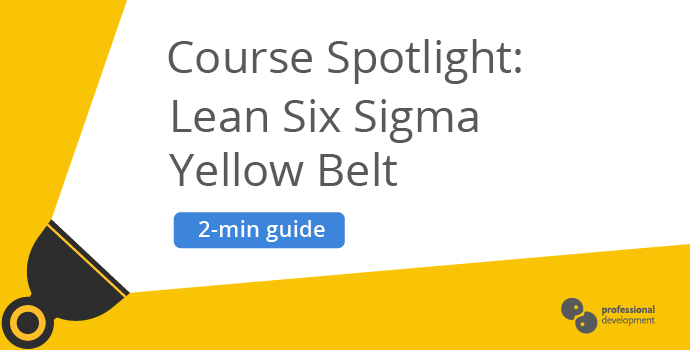 Spotlight On: Lean Six Sigma Yellow Belt