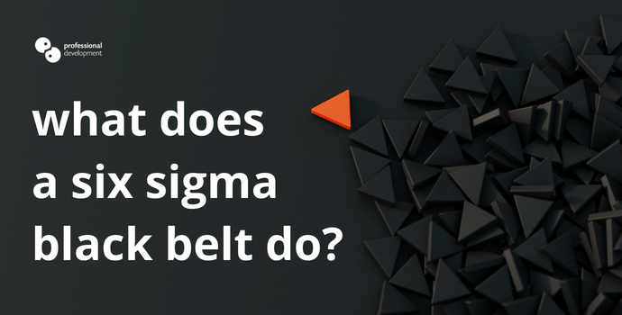 What Does a Six Sigma Black Belt Do?