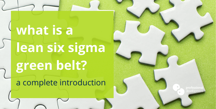 What is a Six Sigma Green Belt?