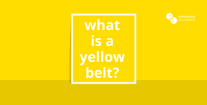 What is a Lean Six Sigma Yellow Belt?