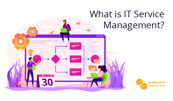 What is IT Service Management?