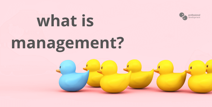 What is Management?