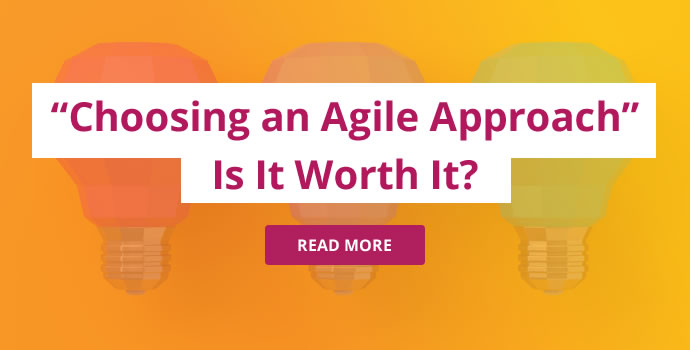 Why Choose Agile?