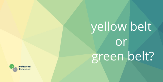 Lean Six Sigma Yellow Belt vs Green Belt
