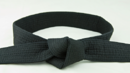 Lean Six Sigma Black Belt Course